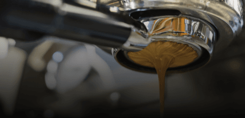 excelsa_coffee